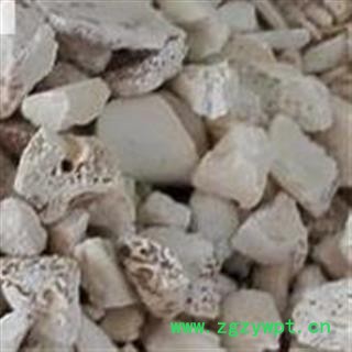 圣草康园龙骨   龙骨水洗统块 水洗干净图2