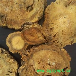 大黄 统 产地 甘肃省  华美中药 产地直销 重在品质图2