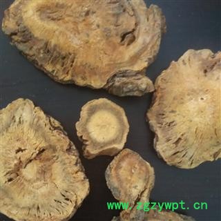 大黄 统 产地 甘肃省  华美中药 产地直销 重在品质图4