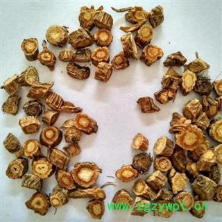 防风@【华美中药】中药材批发供应【防风】图3