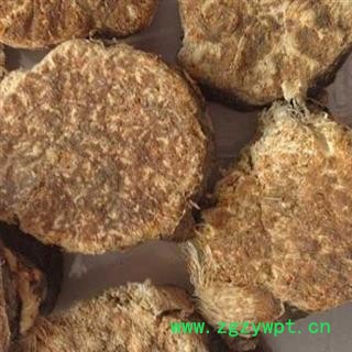 瑞森药材行阿魏原药 草阿魏 熏渠 哈昔泥 新疆 臭阿魏 真阿魏 阿魏根图2