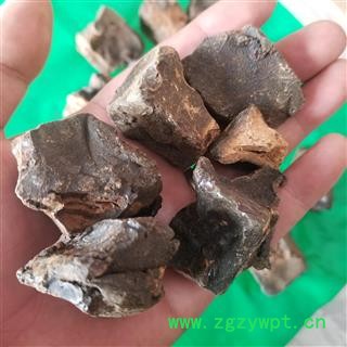 儿茶 方儿茶图4