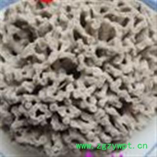 小丽百草行中药材海浮石  海浮石花  统粒 49选货90另有块9元图2