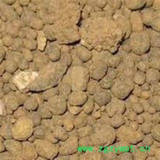 无名异 土子 干子 秃子 铁砂图2