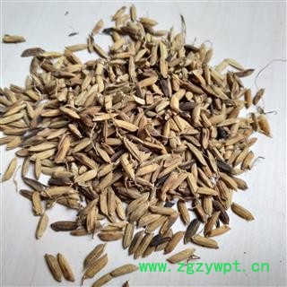 稻芽 稻芽选货 产地 安徽省图2