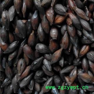 麦芽 焦麦芽 包检测 焦三仙都有货 优质货加工 产地 河南省郑州市 买好药找娟子图2