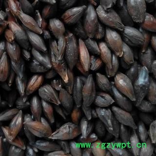 麦芽 焦麦芽 包检测 焦三仙都有货 优质货加工 产地 河南省郑州市 买好药找娟子图3