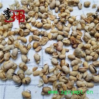 【99包邮】特价！大豆黄卷 统货 产地 山东省 特价销售，售完为止！图3