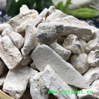 龙骨  正品水洗龙骨 产地 宁夏回族自治区图2