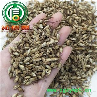 【满包邮】麦芽炒货统货散装四川产地直供炒麦芽沁信源中药批发图3