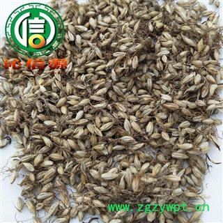 【满包邮】麦芽炒货统货散装四川产地直供炒麦芽沁信源中药批发图4