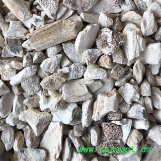 龙骨 正品 龙骨统货 龙骨块 保证品质 产地 甘肃省 娟子中药行图3