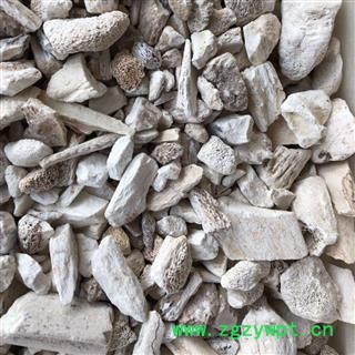 龙骨 正品 龙骨统货 龙骨块 保证品质 产地 甘肃省 娟子中药行图2