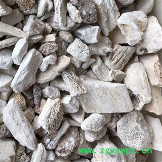 龙骨 正品 龙骨统货 龙骨块 保证品质 产地 甘肃省 娟子中药行图4