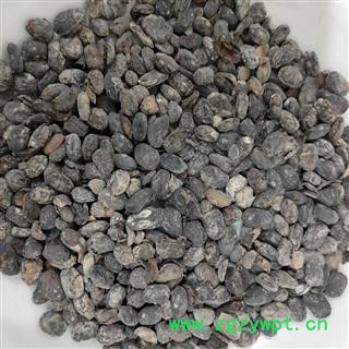 淡豆豉 淡豆豉统货 产地 山东省济南市市辖区图2