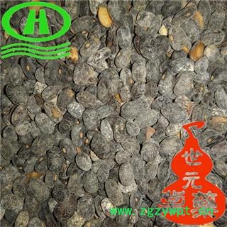 世元药业 淡豆豉 优质 香豉 淡豉图2