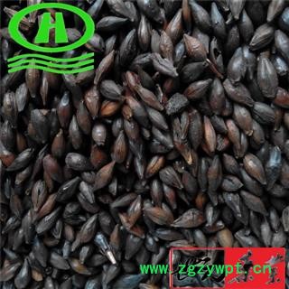 世元药业 焦麦芽 优质原料加工 包检测 焦三仙都有图2