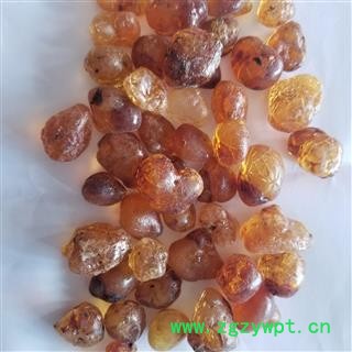 桃胶 桃花泪 桃油 桃脂 桃树胶图3