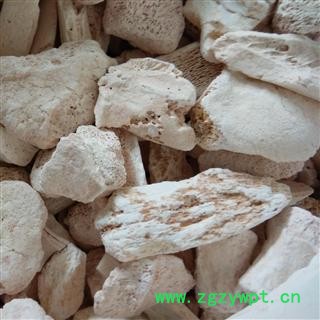 龙骨 龙骨块 纯块 水洗货 无碎粒 地道药材 产地 甘肃省白银市图3