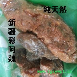 圣草康园五彩阿魏  用途广泛图3