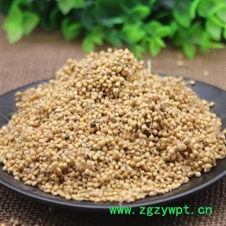 谷芽 谷芽统货 产地 山东 华美中药 产地直销 重在品质图2