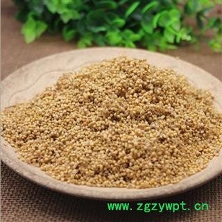 谷芽 谷芽统货 产地 山东 华美中药 产地直销 重在品质图4