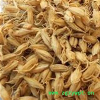 麦芽 生麦芽 产地 山东省图3