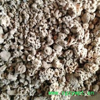 海浮石 浮石花 产地 广东省 批发各种冷背中草药个子图2