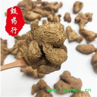 炮姜 炮姜个子统货 一手货源批发 产地云南 甄选药材行图4