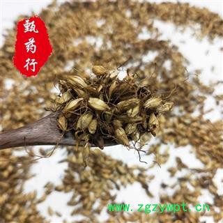 麦芽 统货 一手货源批发1公斤装炒麦芽  甄选药材行 为你真选好药材图4