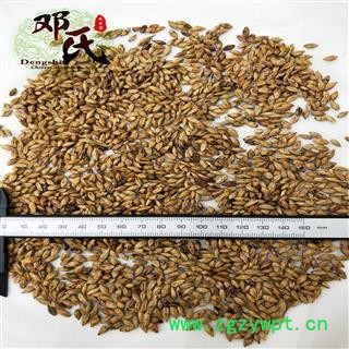 大麦茶 选货 优选品质 产地直供 邓氏中药批发图2