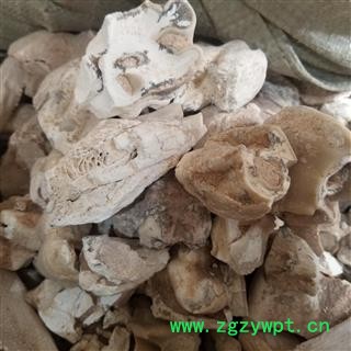 龙齿 大块统货 产地 甘肃 中药材图2