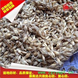 麦芽 生麦芽（全芽） 产地 河南省图3