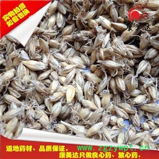麦芽 生麦芽（全芽） 产地 河南省图4