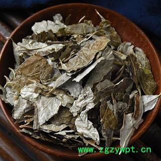 胡秃子叶 正品 优质 别称 蒲颓叶 胡秃子 鸡卵子 幽谷巨人 半春子 甜棒槌 雀儿酥 羊奶子 羊奶奶 牛奶咪 产地 江苏省 买好药找娟子图2