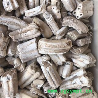 龙齿 白龙齿 选货 产地 内蒙古自治区 买好药找娟子图4