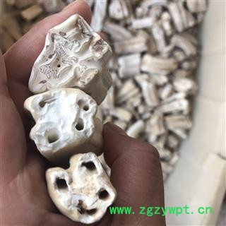 龙齿 白龙齿 选货 产地 内蒙古自治区 买好药找娟子图3