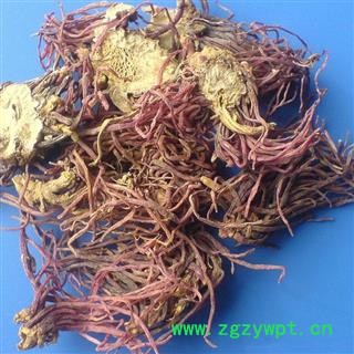 紫菀 紫苑 统 产地 安徽省 华美中药 产地直销 重在品质图2