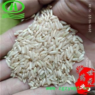 世元药业 粳米 别称 粳稻 嘉蔬 粟米白米 粳粟米 稻米图2