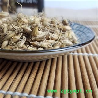麦芽 精品选装 生麦芽 个个带芽 为冲销量 低价售 精品好药尽在七彩百草图2