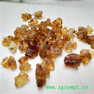 桃胶 桃胶珠 桃胶 产地 山东省图2