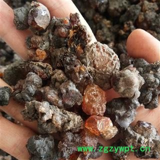 桃胶 药用统货 产地 山东省图2