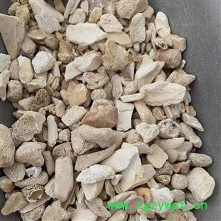 实图拍摄新货水洗锻龙骨炒锻龙骨 产地 甘肃省图2