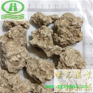 世元药业 料姜石 正品 姜石 砺石 实物图片 无碎末图2