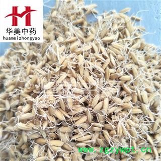 稻芽 选 产地 安徽省图2