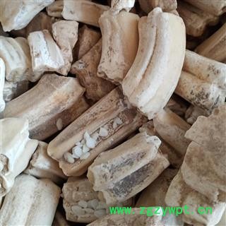 龙齿 精选龙齿 产地 宁夏回族自治区图2