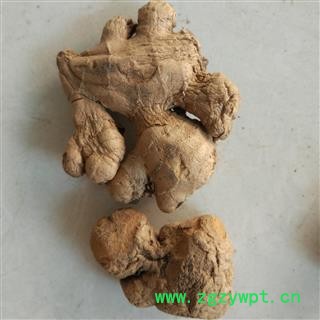 炮姜 正品炮姜 产地 云南省图2