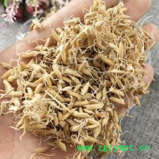 稻芽 选 质量好价格低 产地 山东省图2