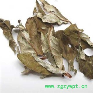 胡秃子叶 秃子 统 产地 江苏省图3