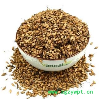 炒麦芽@【华美中药】中药材批发供应【炒麦芽】图3